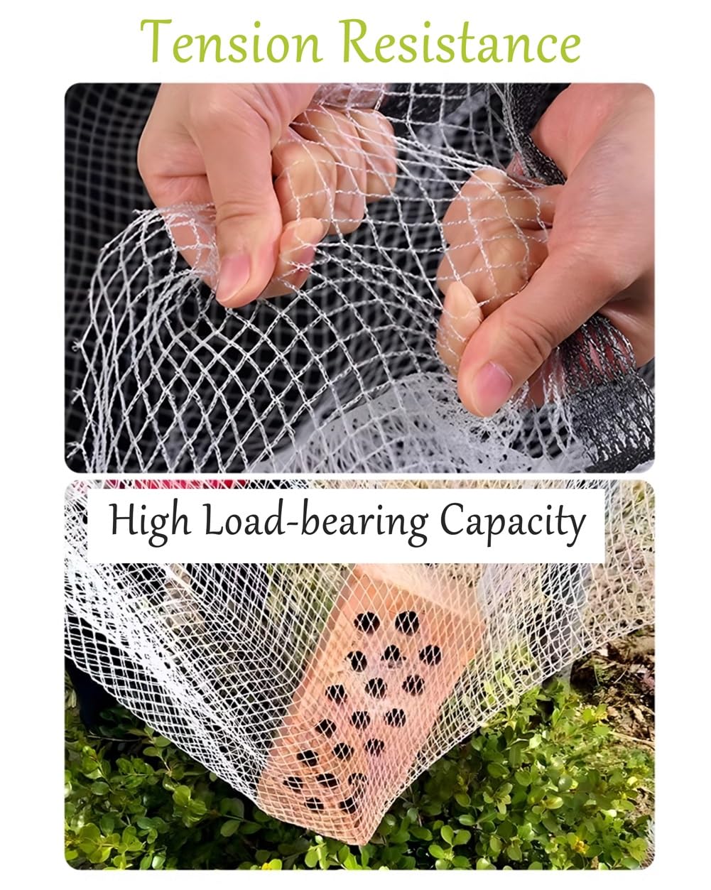 Retino per frutta di alta qualità, 0,5 cm, protezione per vetables, traspirante, per piante grasse e aiuole rialzate (3 x 20 m)