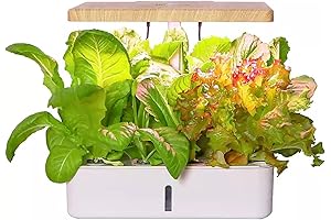 wyqdp240305: Create Your Own Bountiful Indoor Garden Oasis with Our State-of-the-Art Hydroponic Growing System