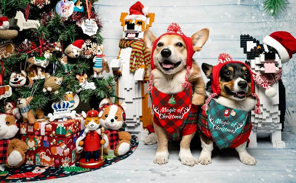 https://m.media-amazon.com/images/I/71FTetd0FCL.jpg