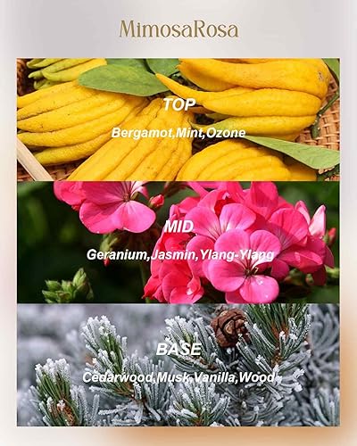 Miniatura 3 de M&SENSE Vela de soja con aroma a rosa mimosa de 12 onzas, más de 40 horas de tiempo de combustión, vela de aromaterapia natural de 3 mechas