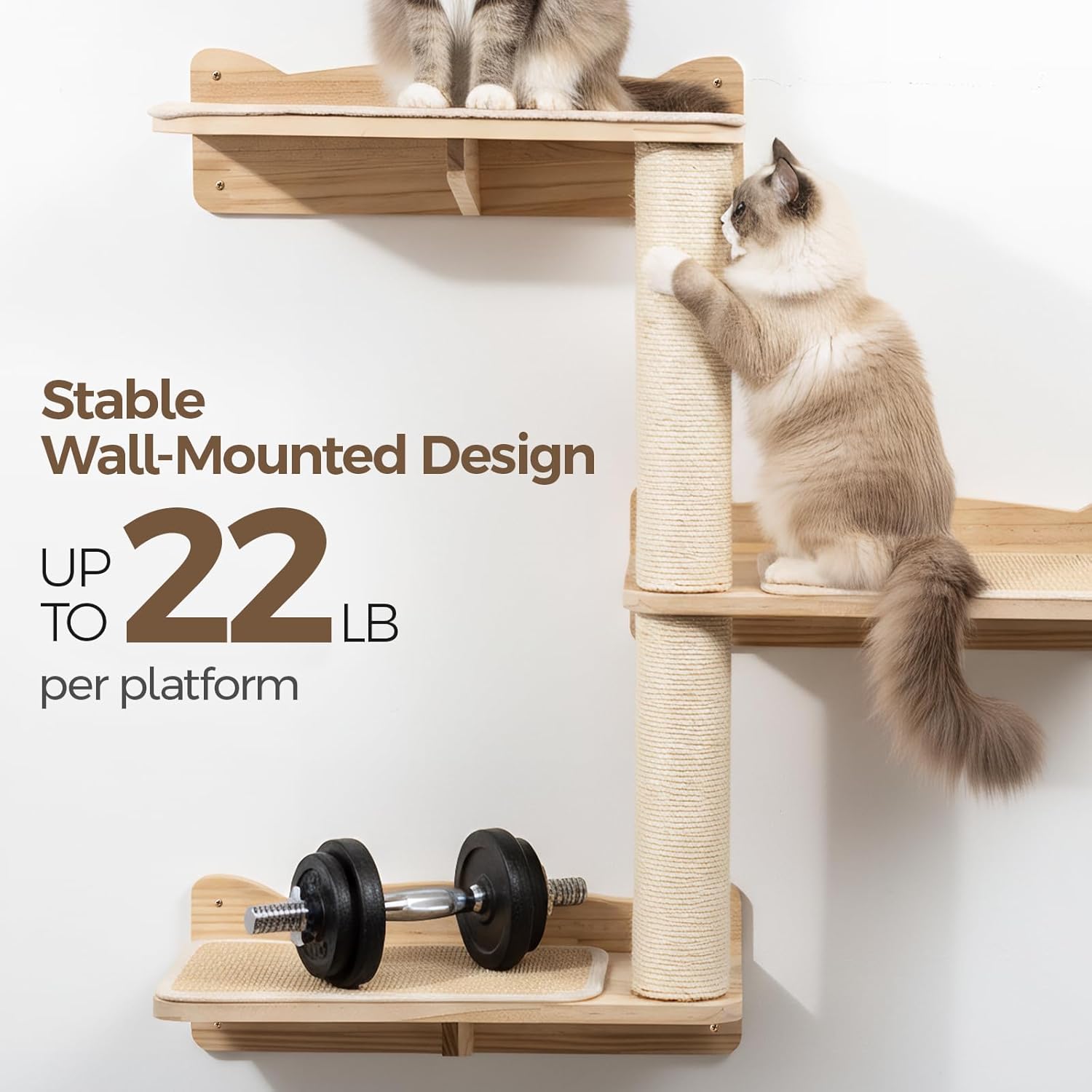 Cat Wall Shelves, 2-Tier Cat Shelves with Sisal Scratching Post, Sisal Mat Solid Pine Wood Wall Mounted Cat Climbing Furniture, Modular Design
