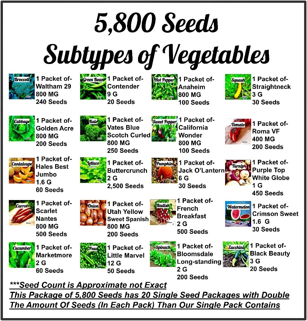 5,800 Seeds. 20 Vegetable and Fruit Seeds for Planting Your Home or Survival Gear, Garden Kit. Outdoor and Indoor Home Gardening. Heirloom Non-GMO Garden Veggie Seeds! Free Growers Manuel. B&KM Farms : Patio, Lawn & Garden