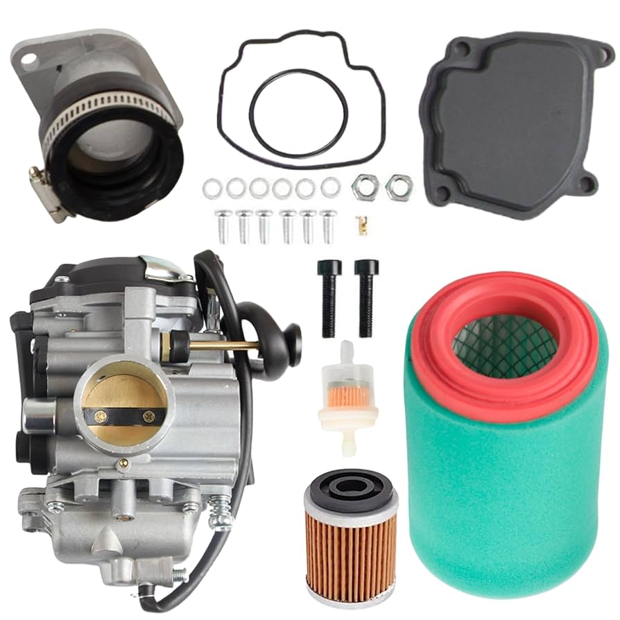 Amazon.com: RANSOTO YFM250 Carburetor with Filter Replace