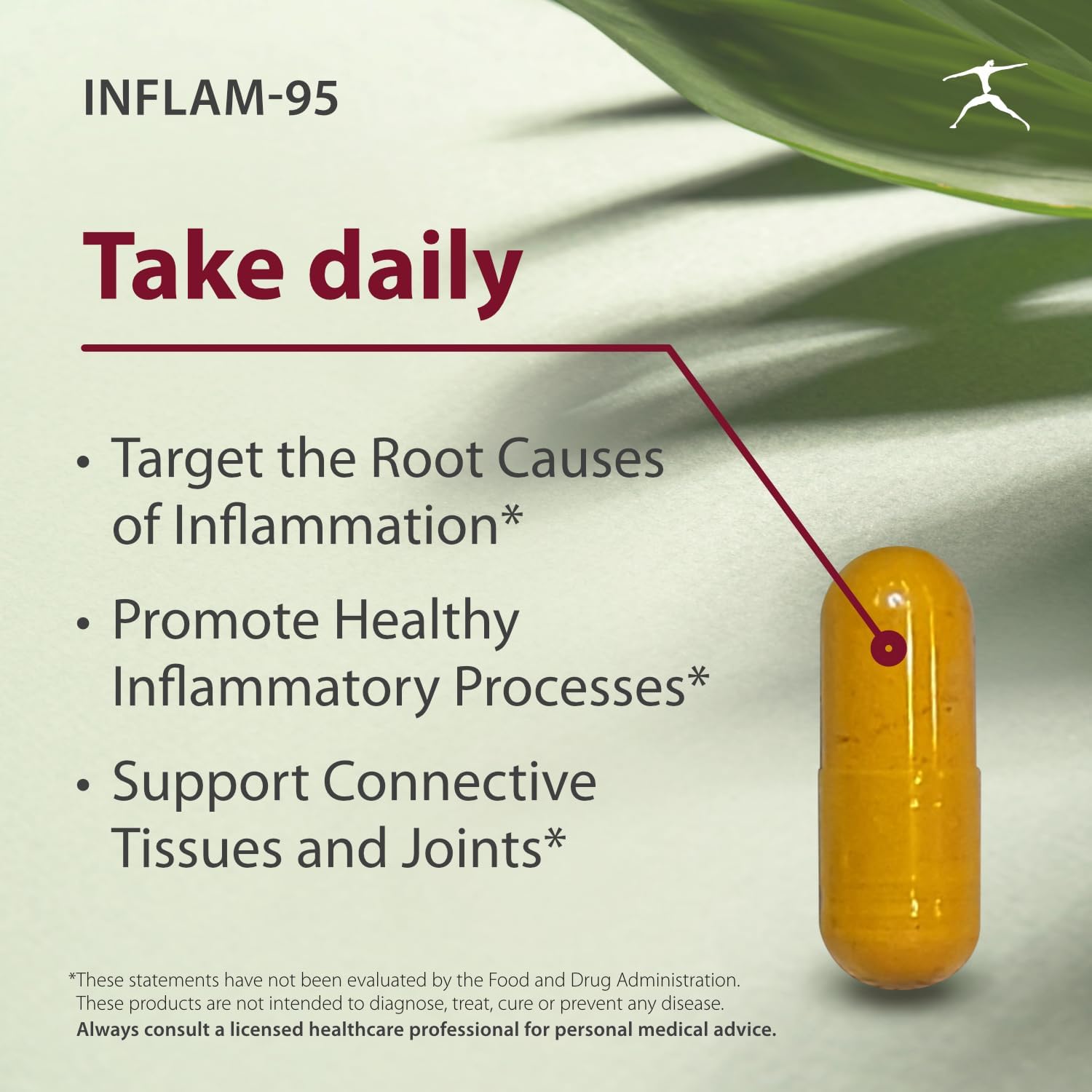 BIOSPEC NUTRITIONALS Inflam-95 - Ginger Root Extract 2,000 mg, Curcumin Root Extract, Boswellia Serrata Extract, Nettle Leaf Extract, Bioperine - Support Healthy Inflammatory Response*