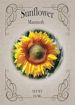 Black Duck Brand Set of Flower Seed Packets! Flower Seeds in Bulk - Great for Creating The Garden of Your Dreams! 100, Mammoth Sunflower