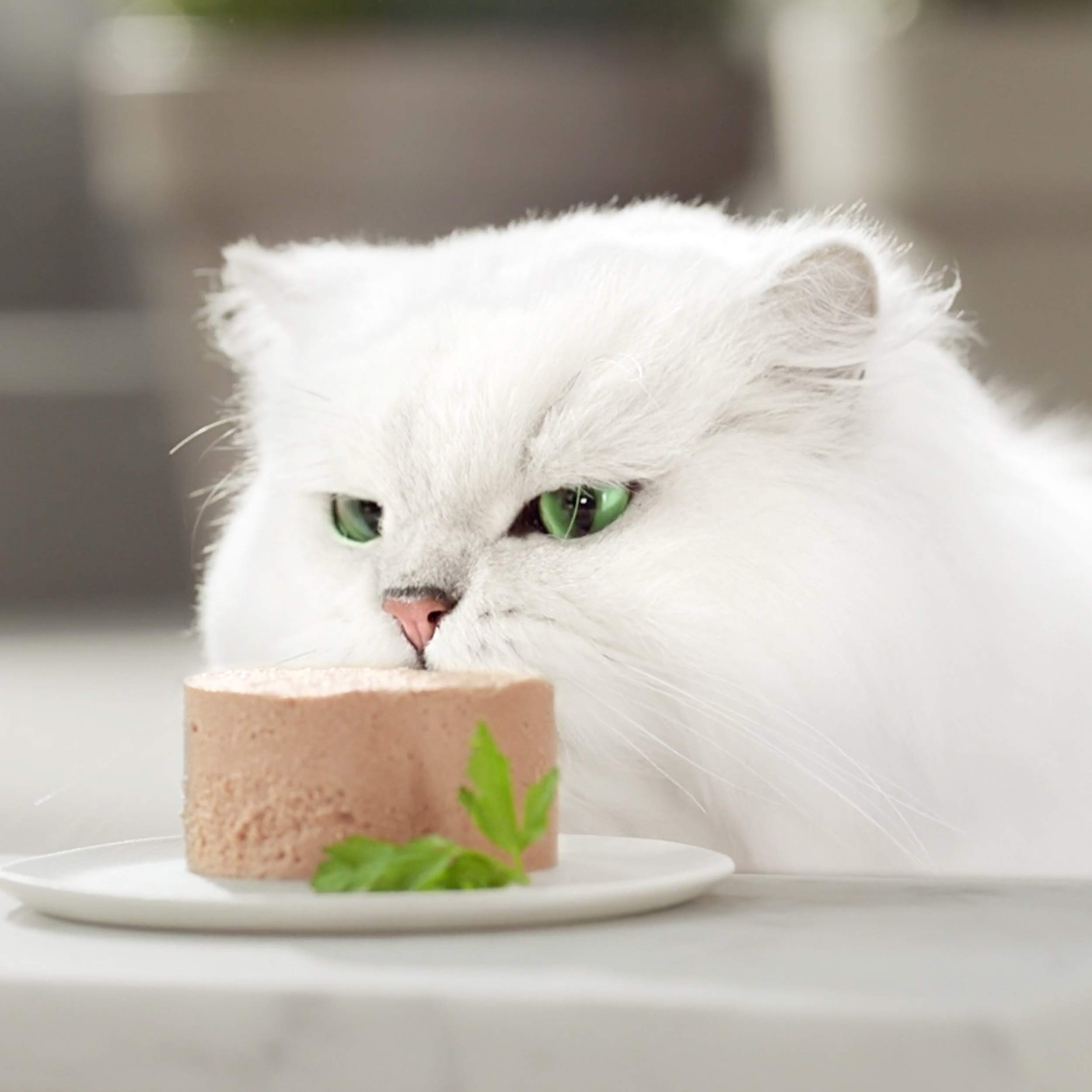 Gourmet Purina Gold mokra karma dla kotów