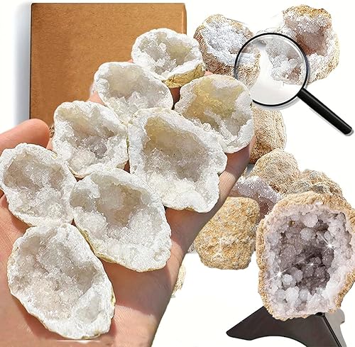 Juego de 8 cuevas de cuarzo natural que abren en el medio de 1.2-2 pulgadas, geoda blanca con lupa y soporte de exhibición, ideal para regalos