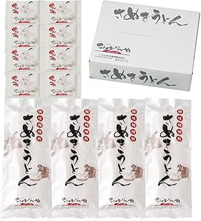 讃岐うどんの老舗こんぴらや 本場さぬきうどん お徳用セット 半生うどん 並麺 讃岐麺維新 (240g×4袋 つゆ付)