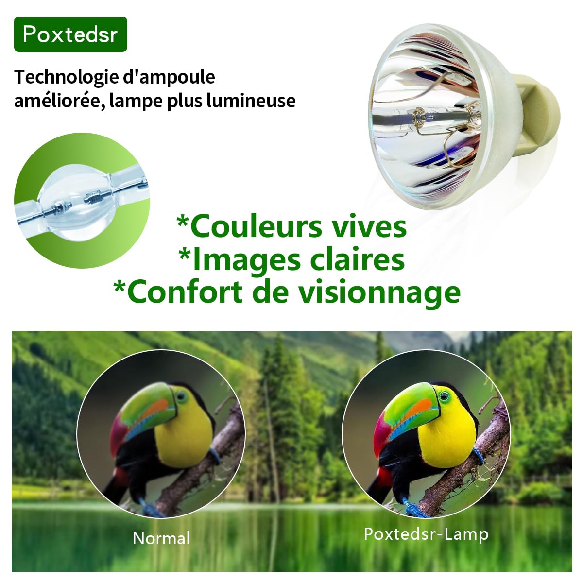 P-VIP 180/0.8 E20.8 Lampada Proiettore Compatibile con Acer P1166 P1266 P1266P P1266i X1161A X1161N X1161P X1261N X1261P P1100 P1100A P1100B P1100C P1200 P1200A P1200B P1200C P1200I P1200N P1120