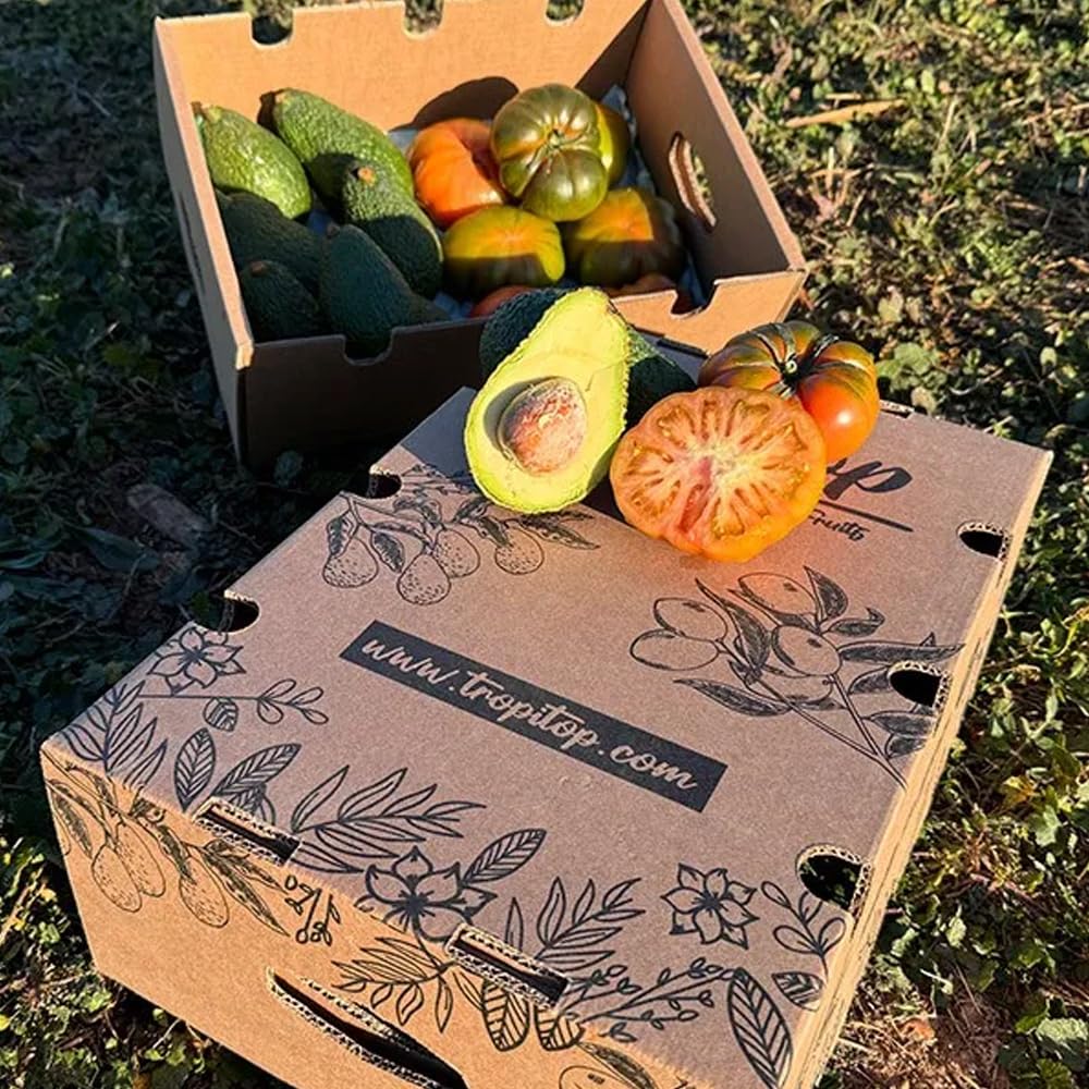 Caja de aguacates hass y tomate raf | 2 kg de Aguacates Hass y 2 kg de Tomate Raf, frescos y naturales, cultivados en Castellón (España), sin químicos y enviados directamente del campo a tu casa