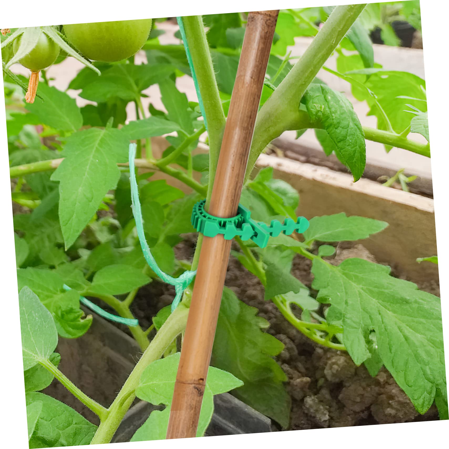 Toddmomy 3 Set Cinghie Fissaggio per Regolabili per Sostenere Piante E Rami Strumenti Giardinaggio per Stabilizzare E Legare E Fili 18 Pezzi*3