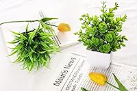 Vista 7 de Der Rose Paquete de 2 pequeñas plantas artificiales en maceta para mesa, escritorio, hogar, baño, oficina, decoración