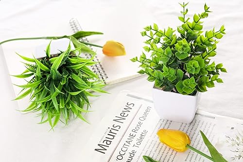 Miniatura 7 de Der Rose Paquete de 2 pequeñas plantas artificiales en maceta para mesa, escritorio, hogar, baño, oficina, decoración 2-Verde