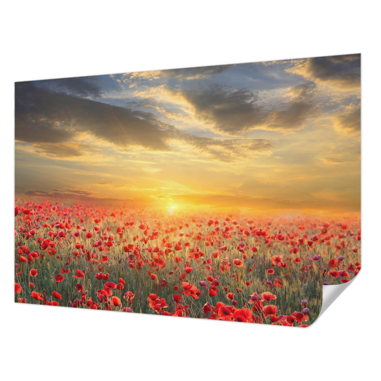 Fotomural autoadhesivo campo de amapolas para crear un salón moderno y relajante