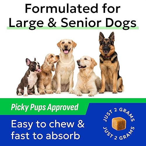 Miniatura 10 de Bark&Spark Vet Strength - Probióticos masticables para perros, 60 mil millones de UFC por frasco, enzimas digestivas para la salud intestinal