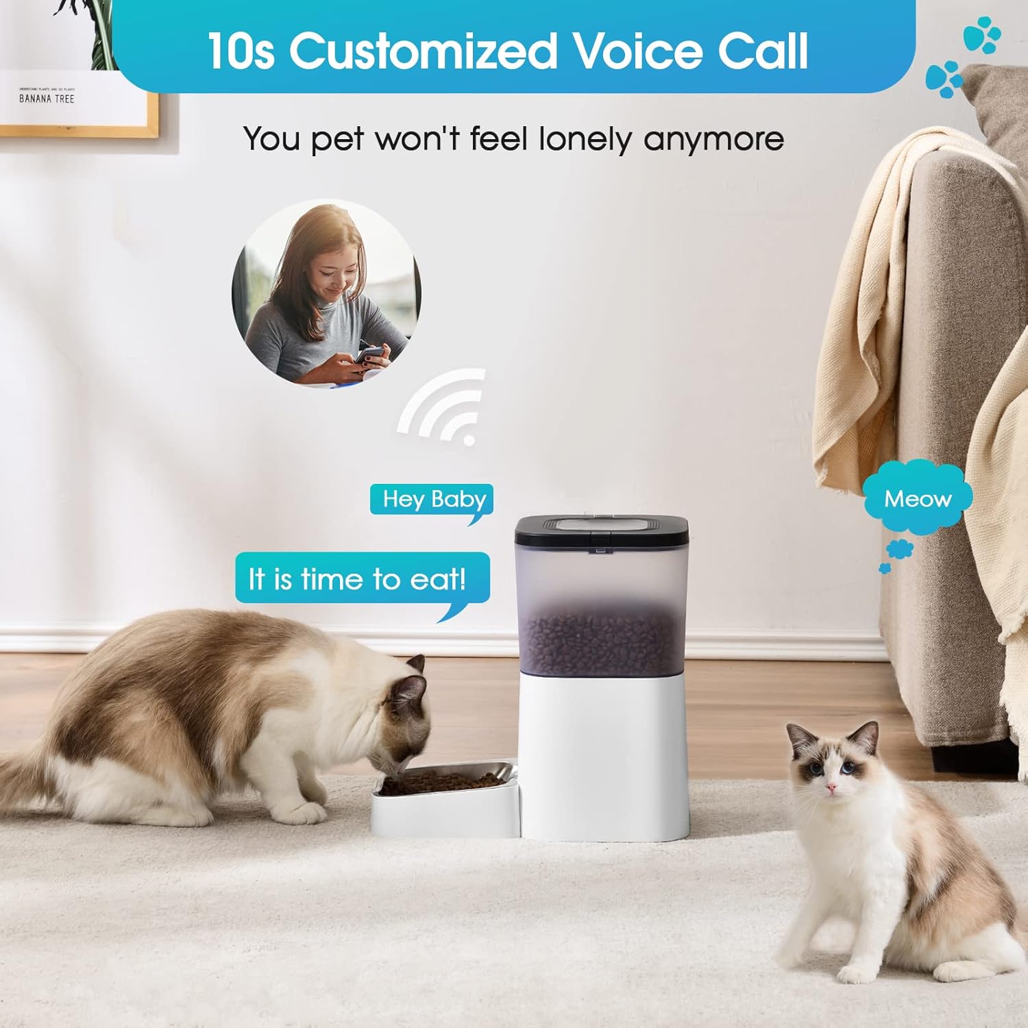 Automatic Cat Feeder, JSK 4L Dog Feeder Pet Food Dispenser Clog-Free Design Sliding Lock Lid Timed Feeder with 10s Voice Recorder Programmable 1-4 Meal & 0-9 Portion Daily for Small/Medium Pets : Everything Else