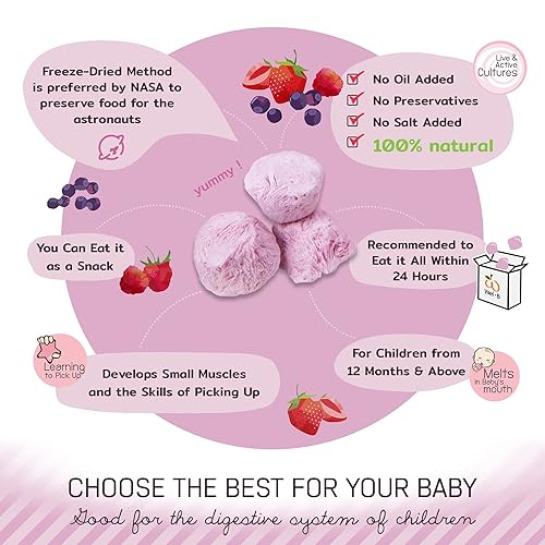 Miniatura 3 de Wel-B Alimentos liofilizados, bayas frescas con yogur liofilizadas a deliciosas, aperitivos de frutas crujientes, aperitivo saludable para niños y