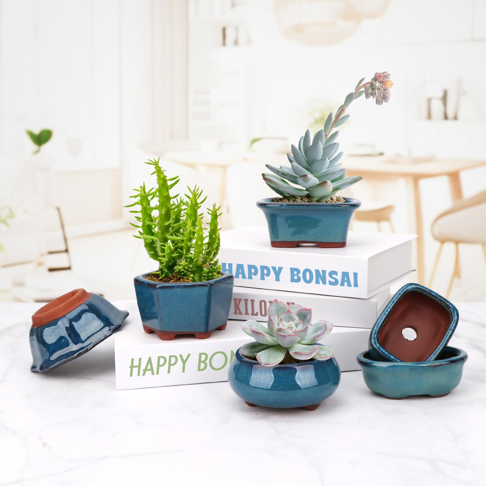 Happy Bonsai 6-teiliges Mini-Töpfe aus glasiertem Glas + 6 weiche Maschen-Drainagesiebe