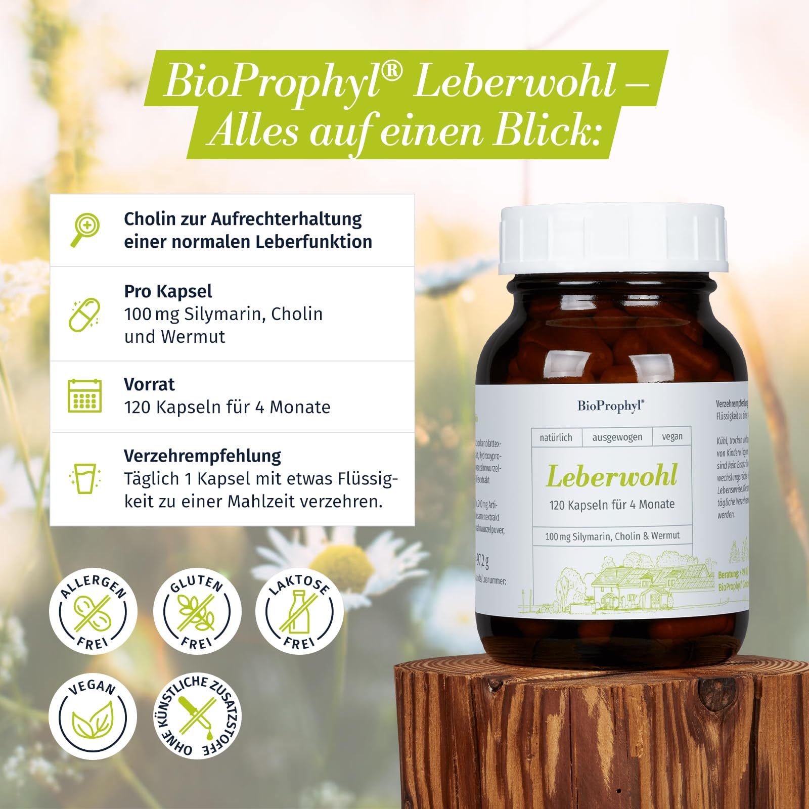 Leberwohl 100 mg Cholin für eine gesunde Leber mit 100 mg Silymarin aus Mariendistelsamenextrakt & bitteren Extrakten aus Wermut, Artischocke & Löwenzahnwurzel | 120 Kapseln für 4 Monate