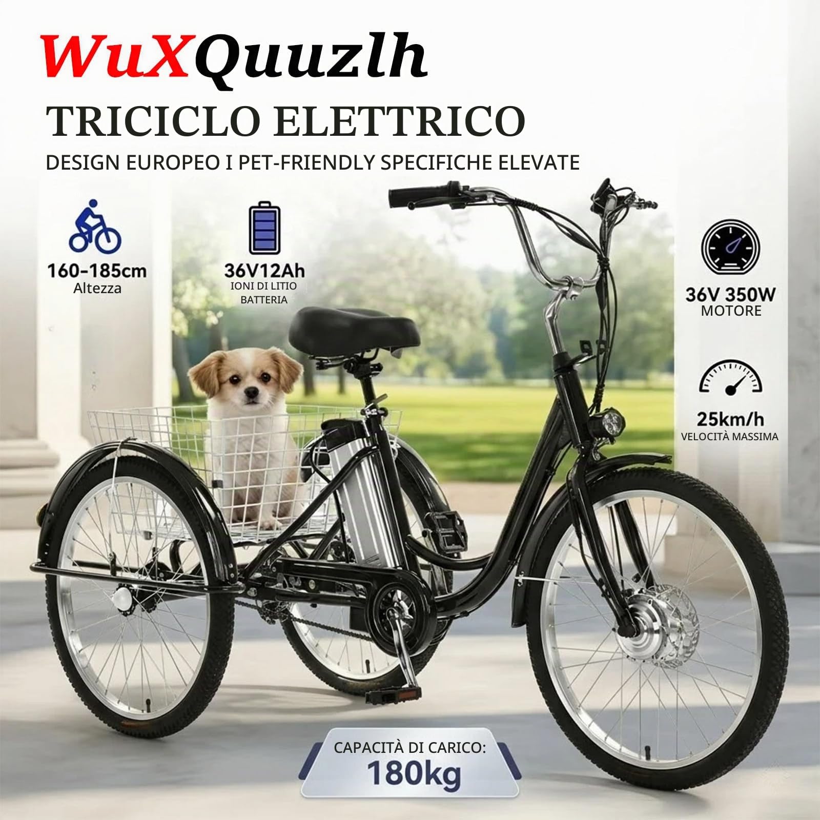 Triciclo elettrico da carico per adulti, robusto, con ruote da 24 pollici, telaio ribassato, batteria rimovibile e display digitale per la spesa quotidiana, colore nero.