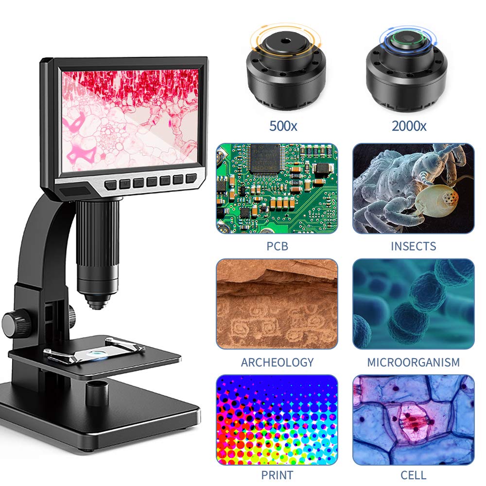 Microscopio Digitale con Display LCD 7 Pollici Doppia Lente 500-2000X Fotocamera da 12 MP con Videocamera 32G TF Luce a 11 LED Portatile Ricaricabile per Scienza e Biologia, Scuola e Ricerca
