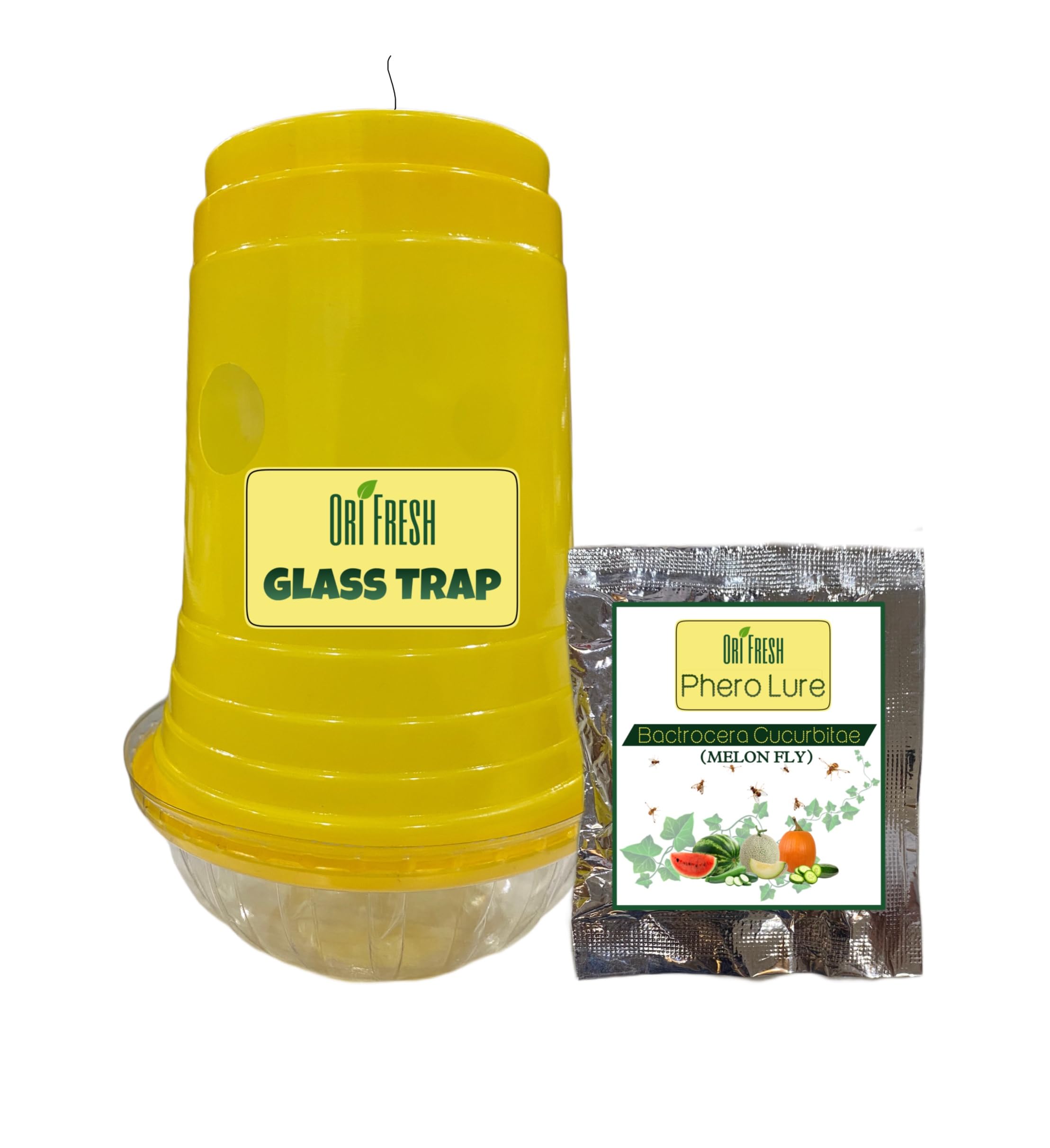 OriFresh Glass Trap (Bactocera Cucurbitae) Pheromone Eco Trap with Melon Fly Lure (5)