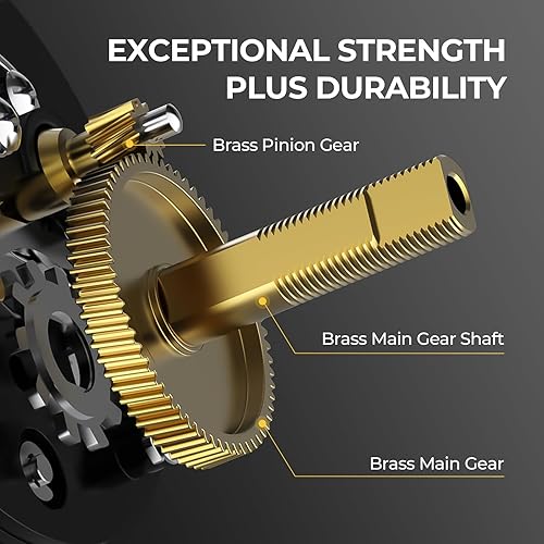Miniatura 4 de KastKing Rover Round Baitcasting Fishing Reel, Perfect Conventional Reel for Catfish, Salmon/Steelhead, Striper Bass and Inshore Saltwater Fishing
