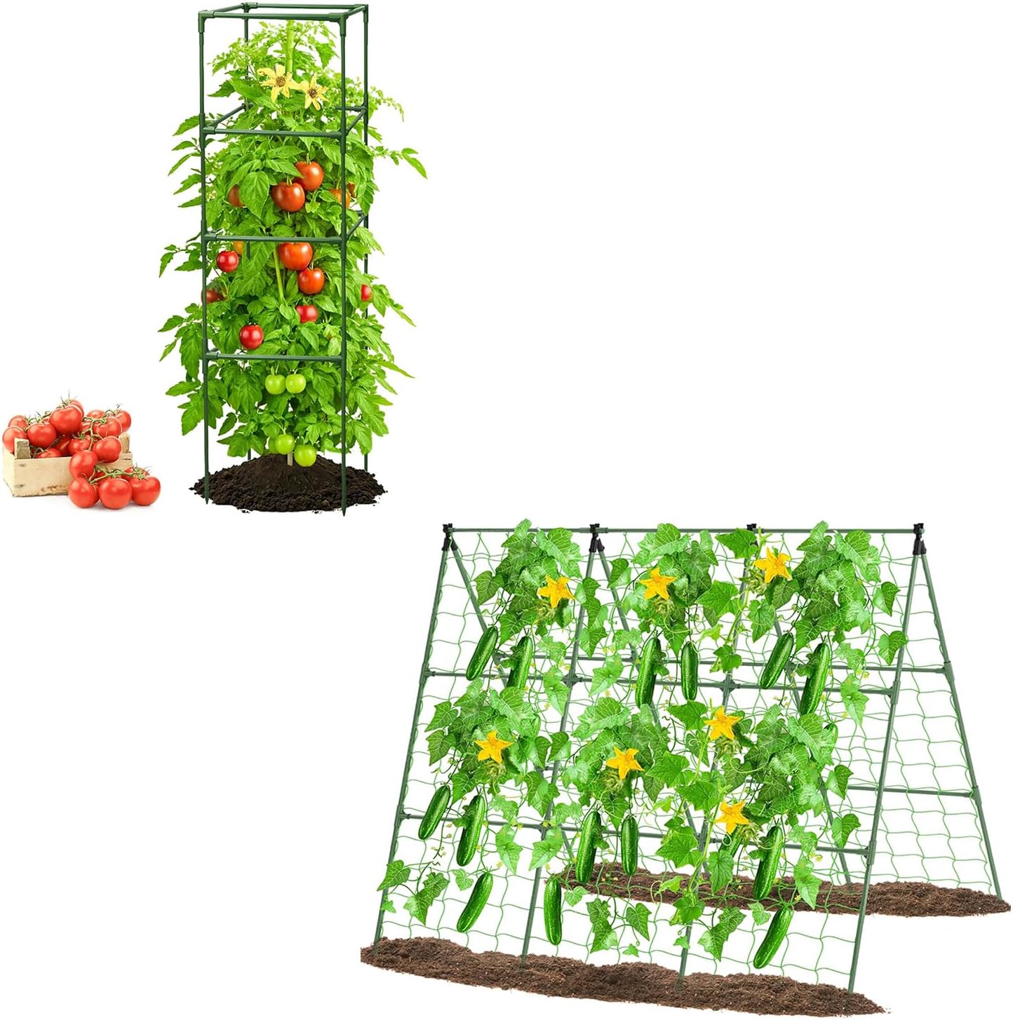Tomato Cage Square(1 Pack - Up to 63") and 53x53 Cucumber Trellis for Raised Bed - Large Trellis Stakes and Plant Support Structures for Vegetables and Climbing Plants