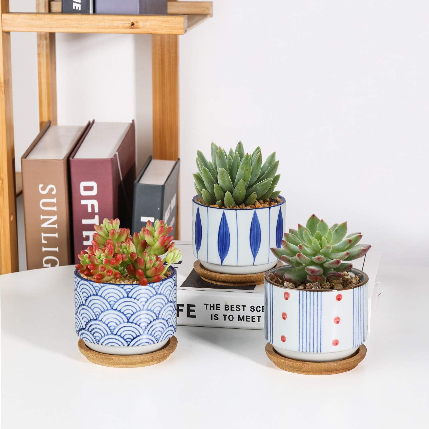 T4U 3 Inch Small Ceramic Japanese Style Succulent Pot Set of 3 with Drainage Bamboo Tray, White Cactus Plant Container Planter Pot for Home Decor, Excluding Plants