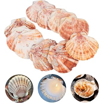 Pack of 10 large shell shells approx. 9-10 cm scallops shell for aquarium artificially made shells for craft shells for painting clam shells fan shell for crafts snack decoration