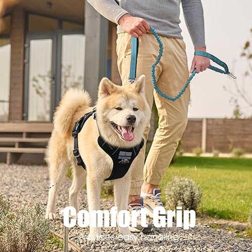 Miniatura 62 de BUMBIN Correa elástica para perro de 6 pies, correa elástica para perro con 2 asas, correas resistentes para perros medianos y pequeños, sin