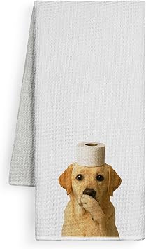 Funny Labrador Retriever Bathroom Hand Towels, Yellow Labrador Retriever Gifts, Funny Dog Hand Towels, Dog Bathroom Decor, Yellow Lab Gifts, 16x24 Inch