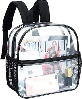 clear backpack 12x6x12