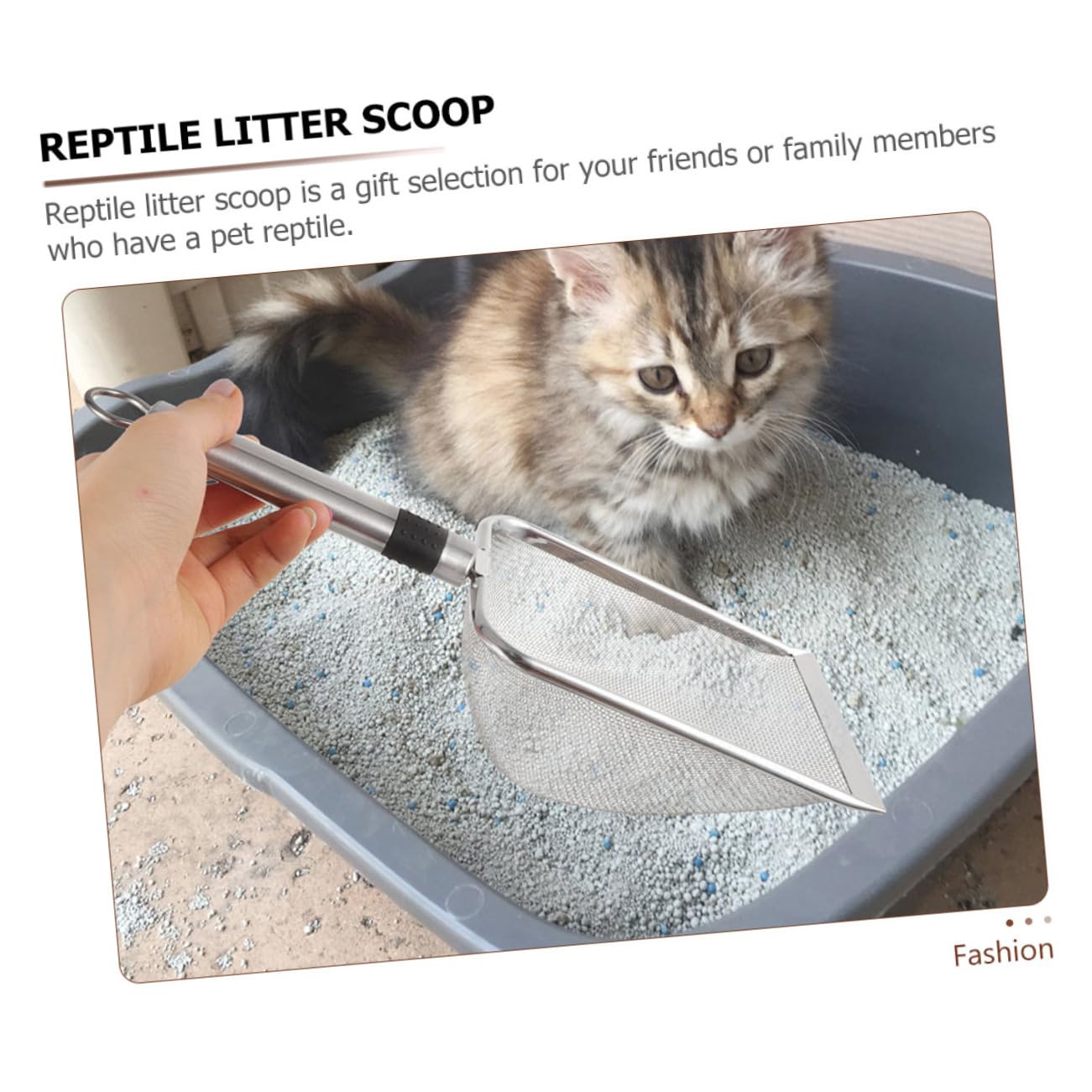 Palas Metálicas para Gatos y Reptiles Accesorio De Limpieza Mango Antidesgaste Tipo De Mascotas
