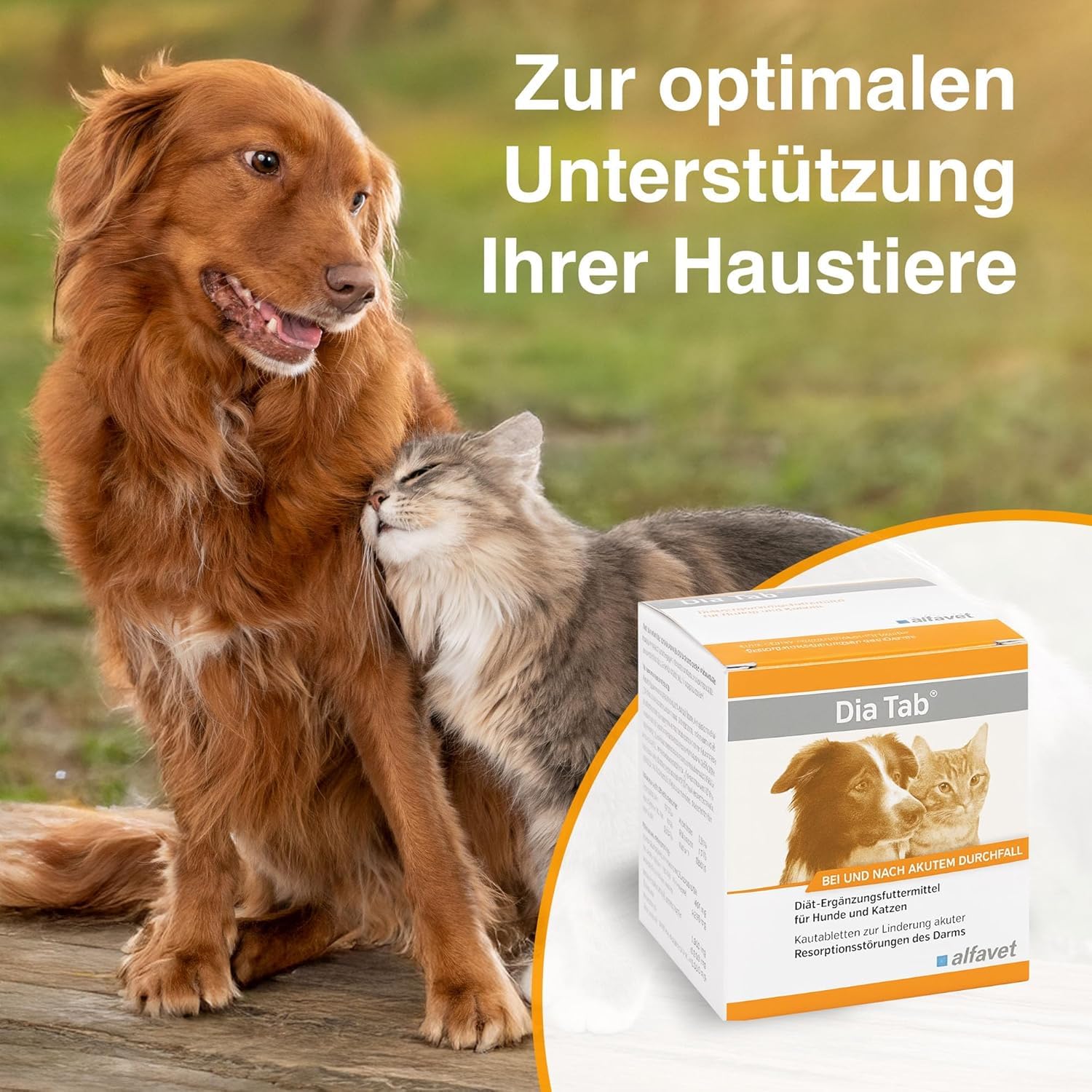 alfavet Dia Tab, complément Alimentaire diététique pour Chiens et Chats, comprimés à mâcher Contre la diarrhée et Les vomissements, 6 x 5,5 g