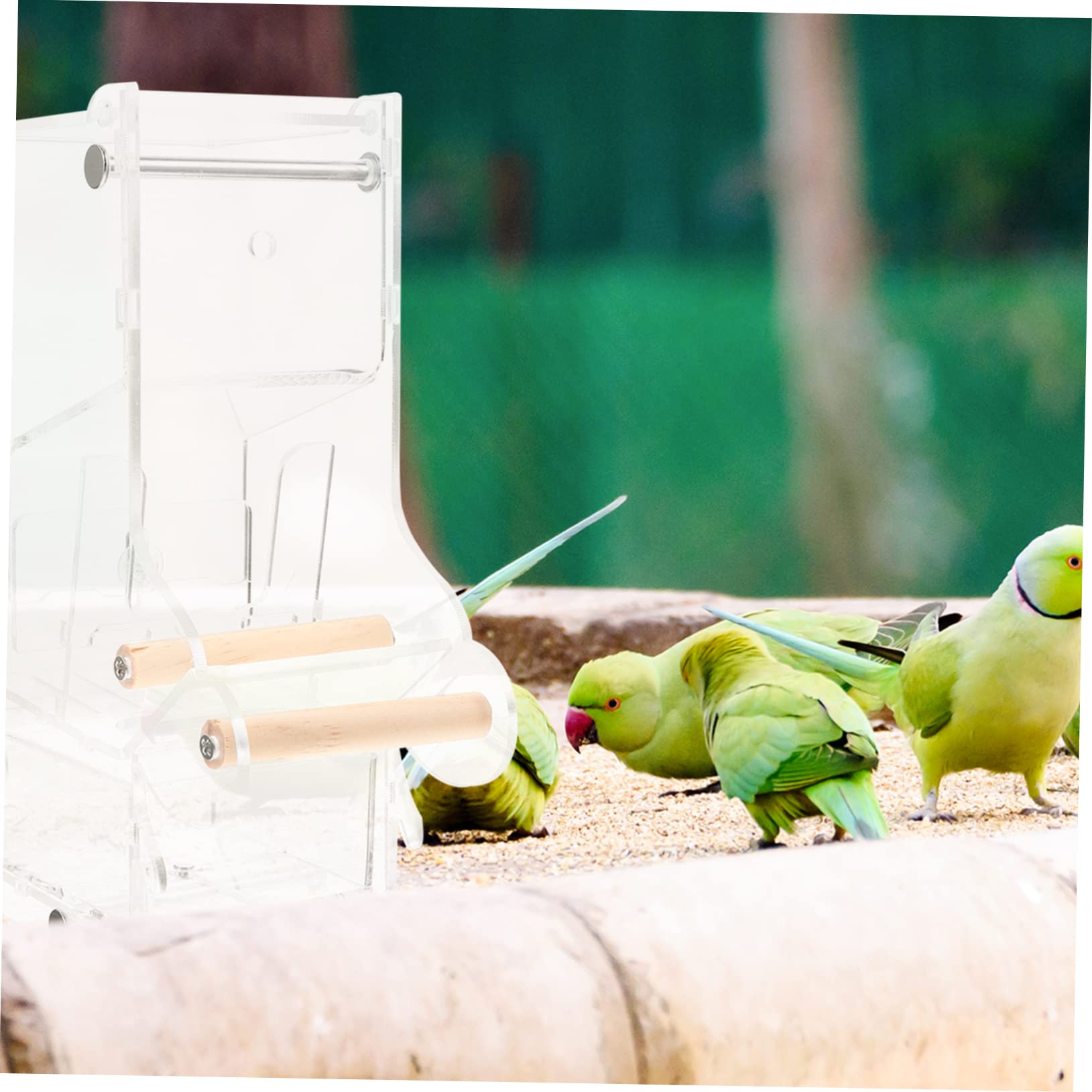 Yardwe Mangiatoia Per Distributore Per Pappagalli e Parakeet Facile Installare e Negozi