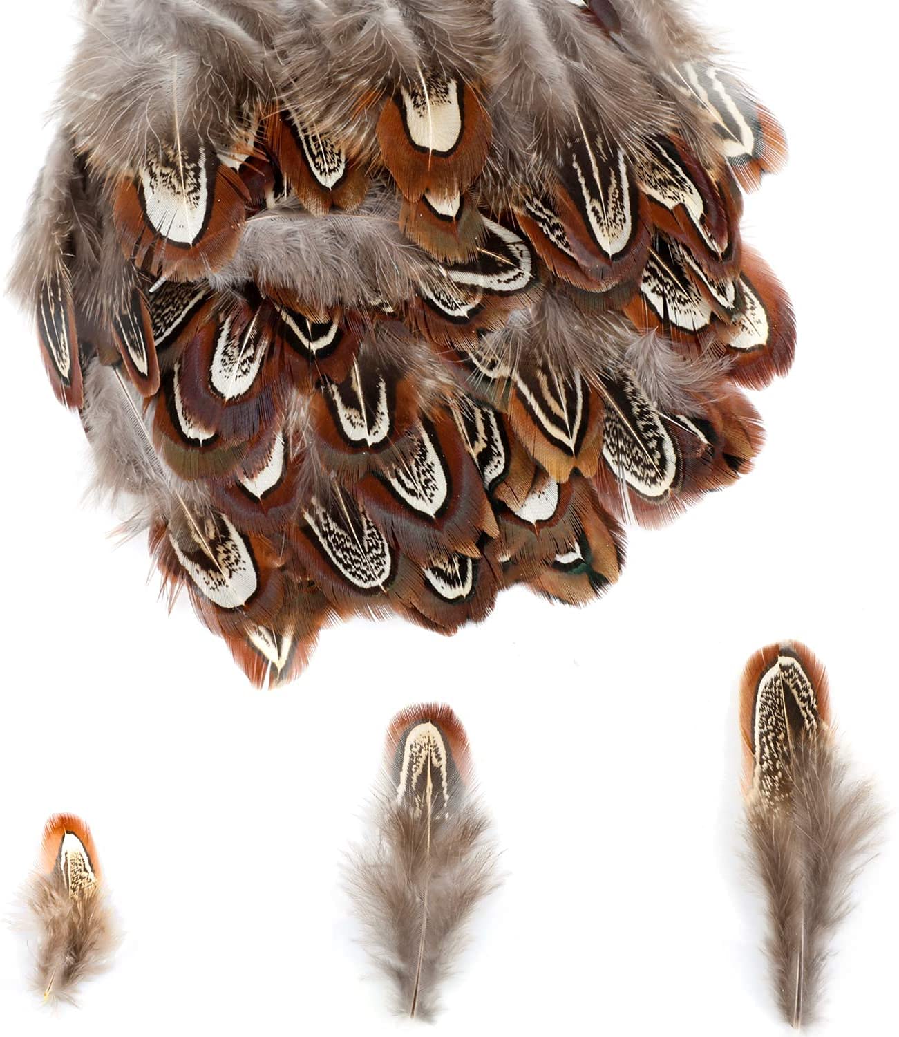 200 Pièces 4 Styles Plumes Artisanales Plumes Mouchetées