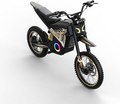Thor-G 14" Front 12" Rear Electric Dirt Bike Motorcycle, 3000W Brushless Motor, 48V 23.4Ah Battery, 38MPH Max Speed, 55km Range, 3 Riding Modes, wheel width 3 inch-Gold