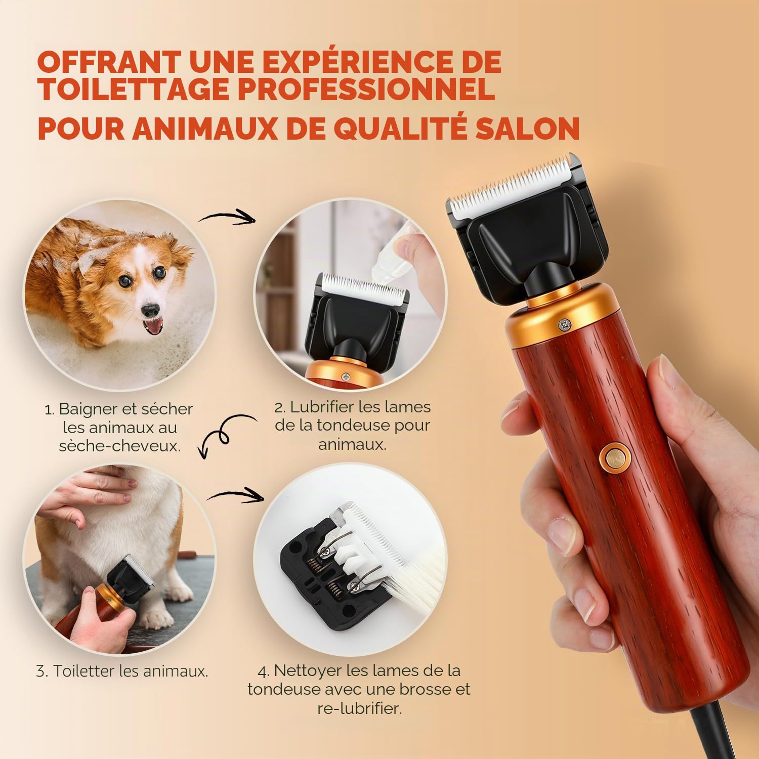 CGOLDENWALL Tondeuse Chien 55W, Bruit Bas, Cordon 3m, Chiens Chats | Professionnelle, <50dB, 2 Peignes (3/6mm, 9/12mm), Tous Pelages, Cable 3m