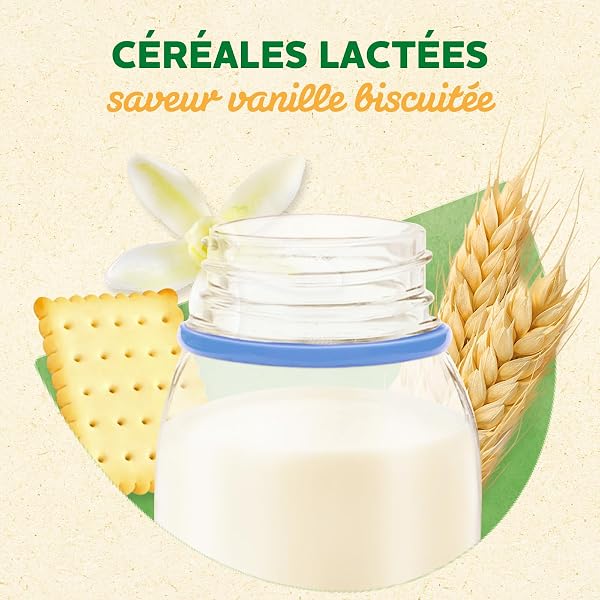 Blédina Blédidej Céréales bébé Biscuité Saveur Vanille - Dès 12 Mois - Lait bébé pour petit-déjeuner - Source de Calcium, Vitamine C, Fer, Oméga 3 (ALA) - Format Pratique x12 briques 250 mL - 5