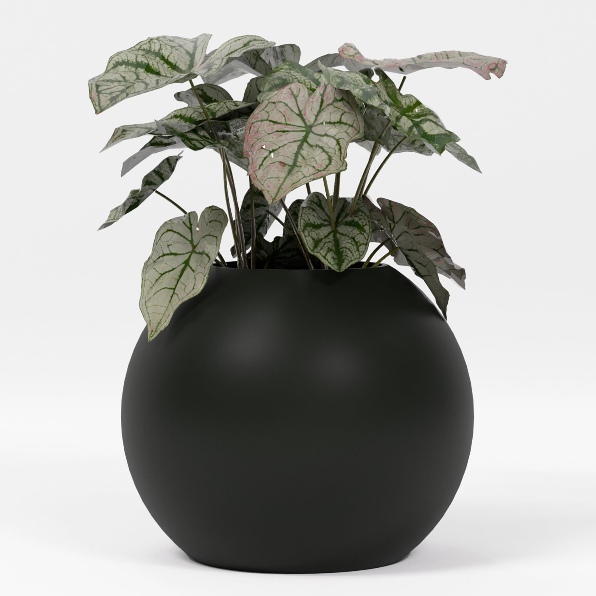 goen° plant planet　ふくろうブランケット Amazon.com : Greenline Nala Globe Planter - Indoor/Outdoor Large