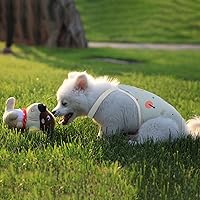 Vista 3 de QBLEEV Pañales para perras para hembra, lavables, sanitarios, con tirantes ajustables, pañales reutilizables para perros machos en celo, lindas