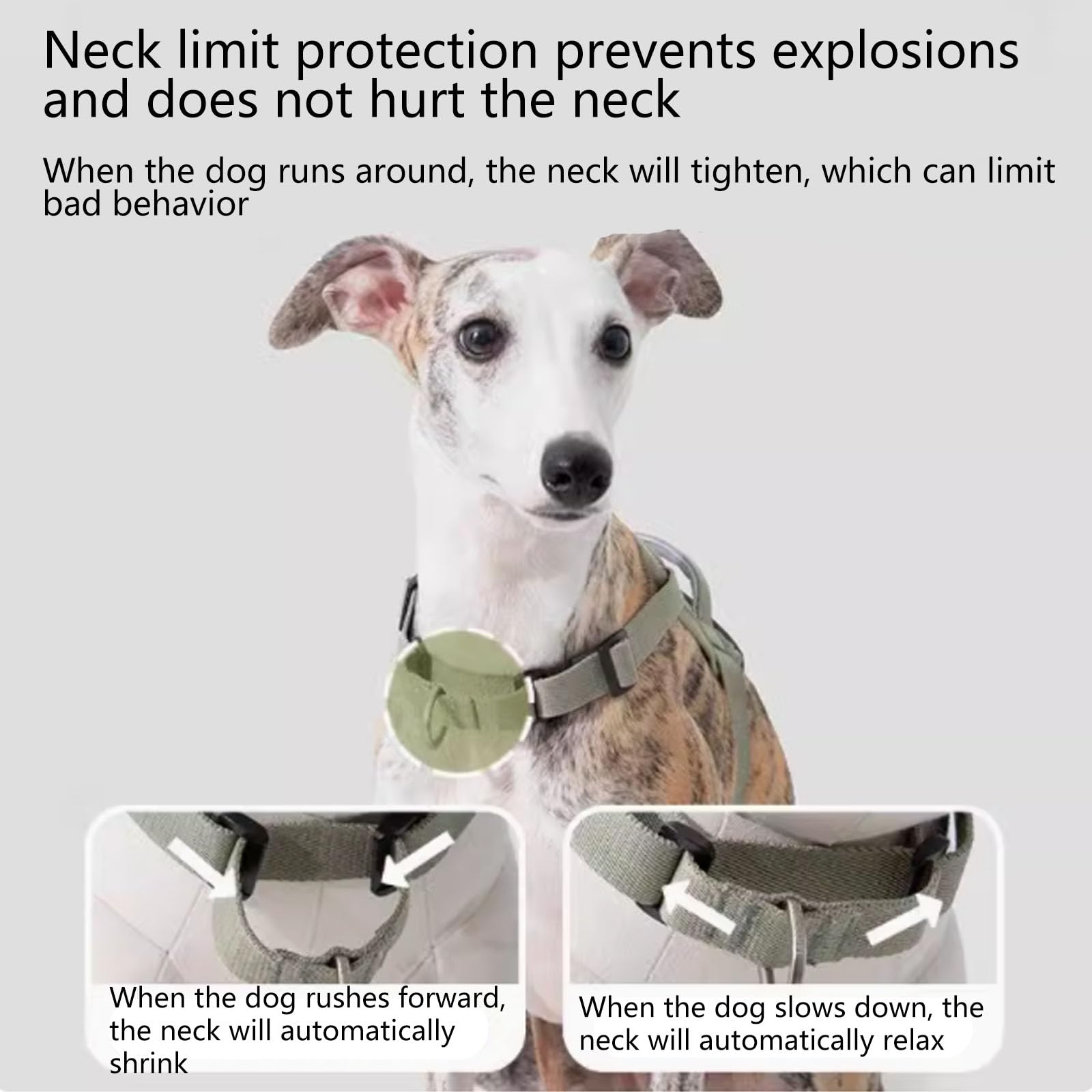 Pettorina Regolabile per Cani, Clip Anteriore Anti-Tiro, Pettorina per Cani con 2 Punti di Collegamento al Guinzaglio, Imbottita, Pettorina Riflettente Tutto in Uno per Cani,Verde,S