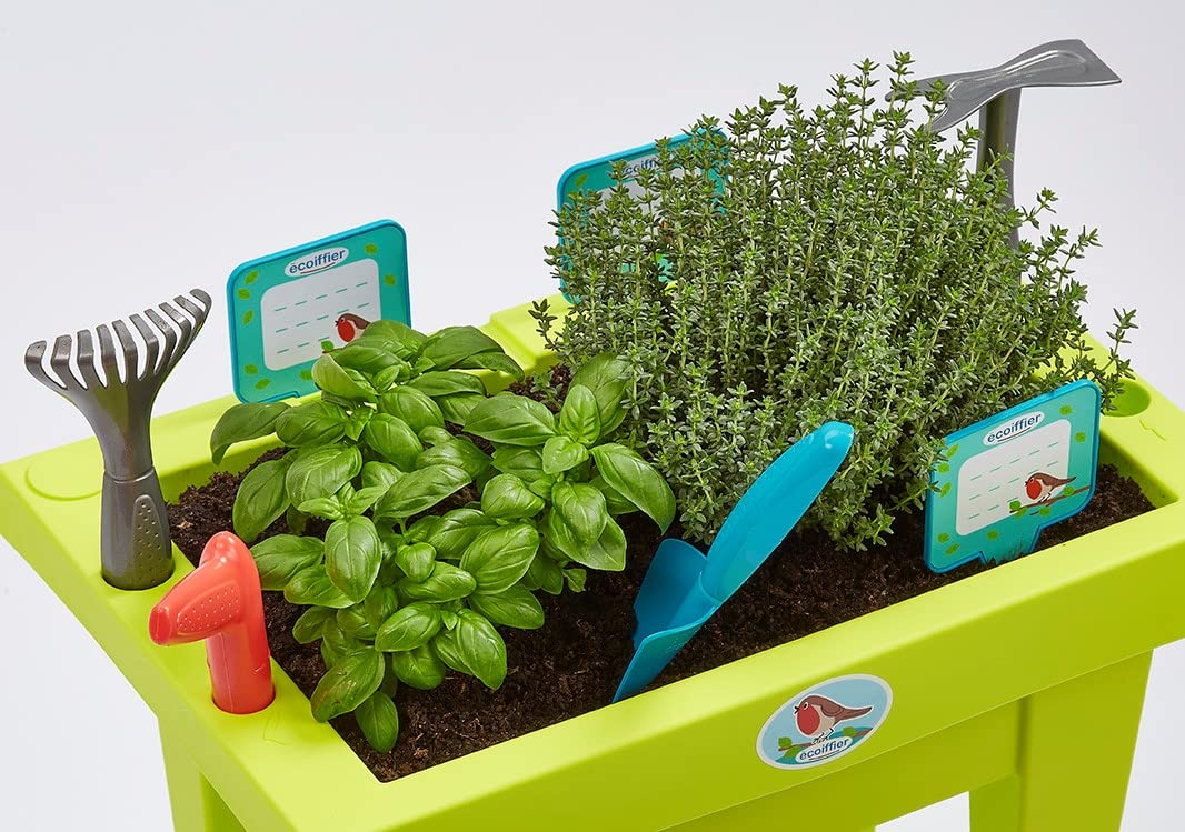 Jouets Ecoiffier - 4290 - La jardinière garnie - Jeu de plein air - Dès 18 mois - Origine France Garantie
