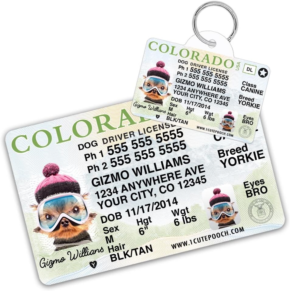 Colorado Driver License Custom Dog Tag for Pets and Wallet Card - Personalized Pet ID Tags - Dog Tags For Dogs - Dog ID Tag -…