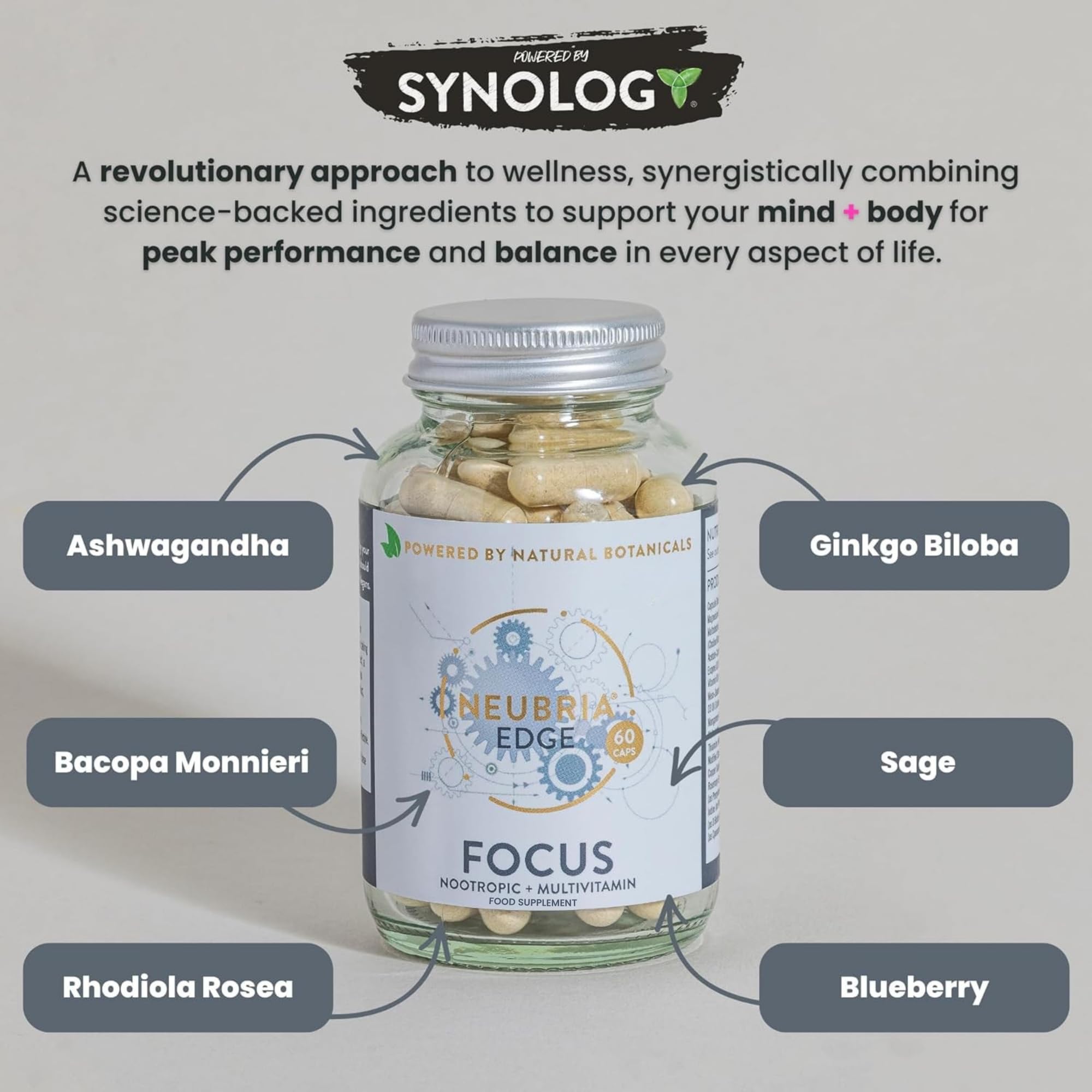 Edge Focus Supplement – Multivitamin for Adults with Bacopa Monnieri, Ashwagandha, Rhodiola, Ginkgo Biloba, Sage, Blueberry & Rosemary – Potent Cognitive Formula – 60 Capsules