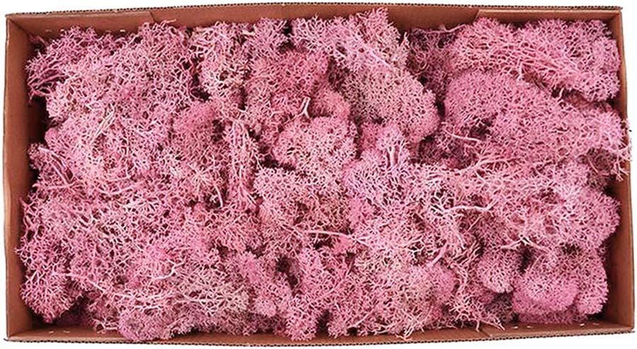 Natural Norwegian Reindeer Moss Preserved Dried Moss Craft Flower Stamen Indoor Outdoor Decoration (Light Blue)