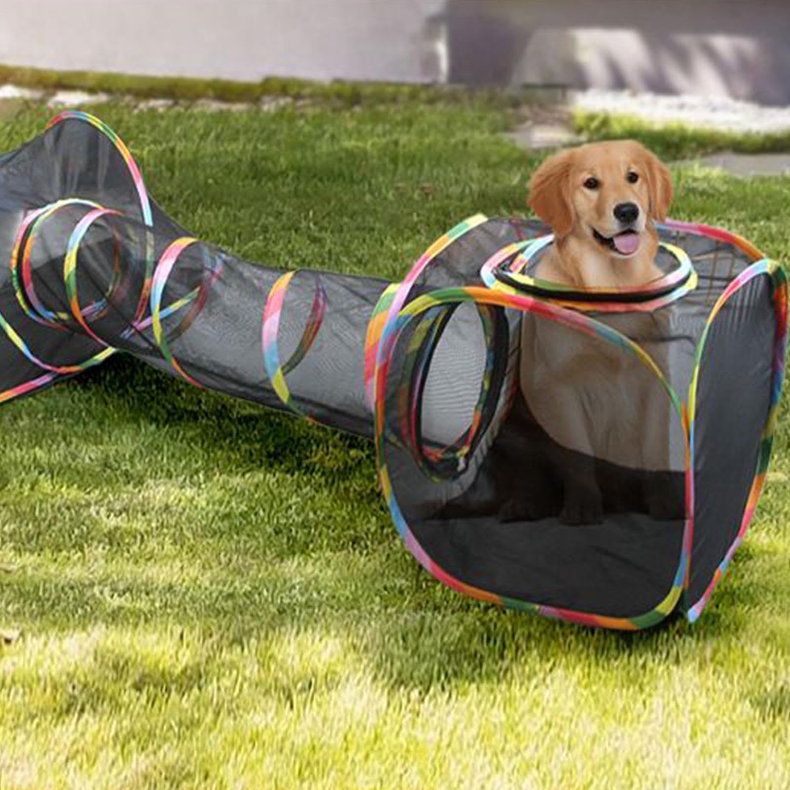 Katzengehege für den Außenbereich – atmungsaktives Netz- -Laufstall mit Reißverschluss-Tür und faltbarem Rahmendesign, leichtes tragbares Katzenzelt | ideales Indoor-Outdoor-Gehege für Kätzchen