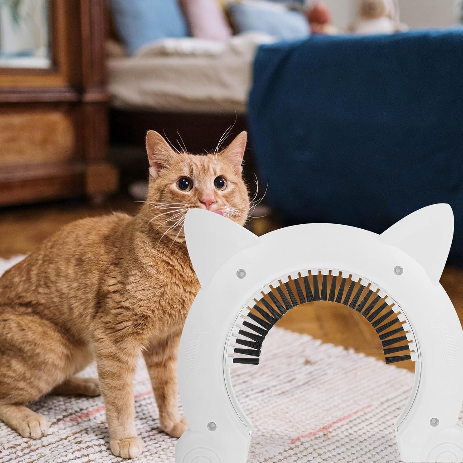 BESTonZON Abs Plastic Cat Door Frame with Grooming Brush for Indoor Pets Easy Installation Pet Interior Supply Sturdy Dog and Cat Entrance Door for Home Use