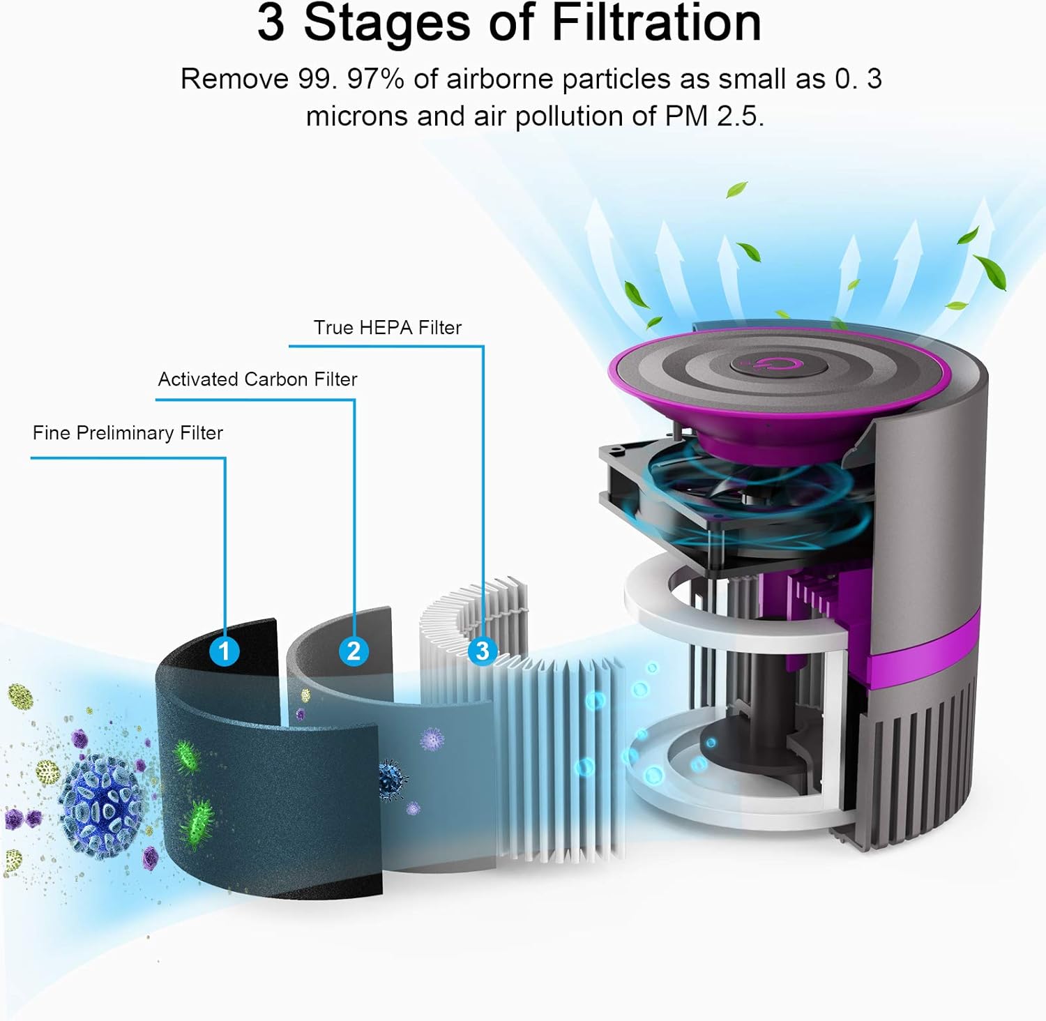 MEGAWISE Air Purifier for Home Bedroom Small Room Office, 3-IN-1 Filtration Air Cleaner for Smoke, Dust, Pet Dander, 100% Ozone Free, Available for California - Image 3